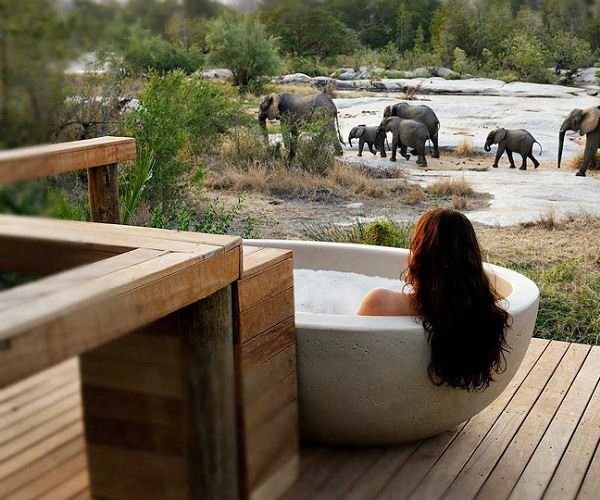 Lodge Tanzania Safari From South Africa
