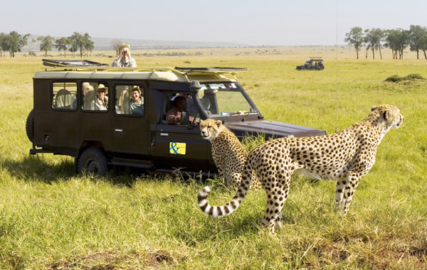 LuxuryTanzania Safari From South Africa